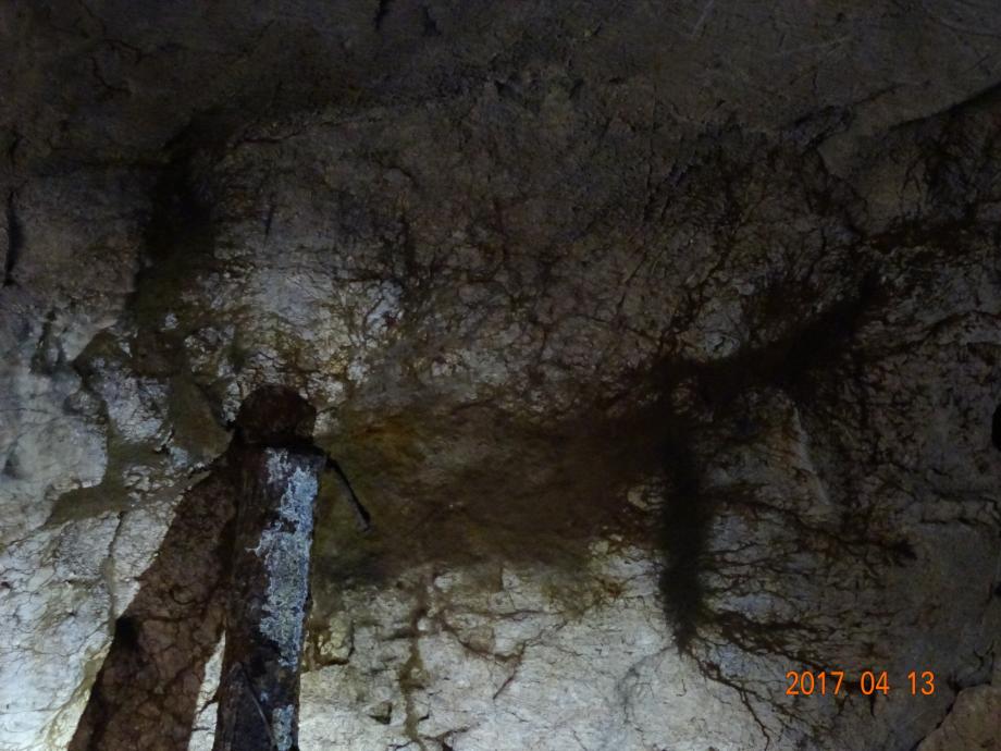 충청북도 문화재돌봄사업