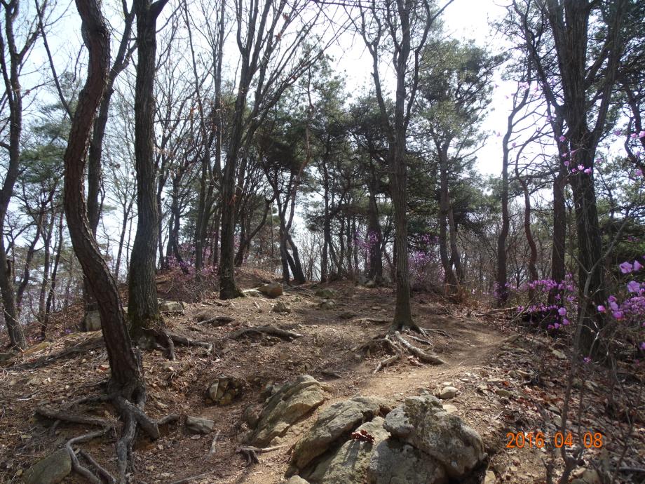 충청북도 문화재돌봄사업