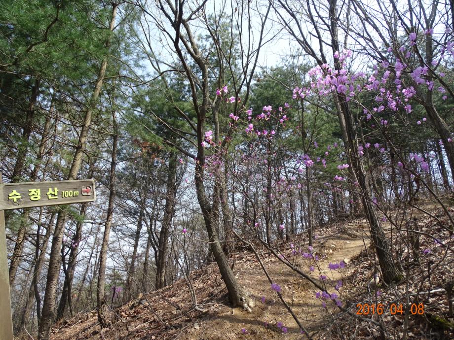 충청북도 문화재돌봄사업