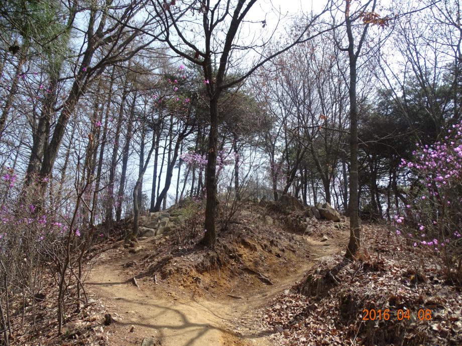 충청북도 문화재돌봄사업