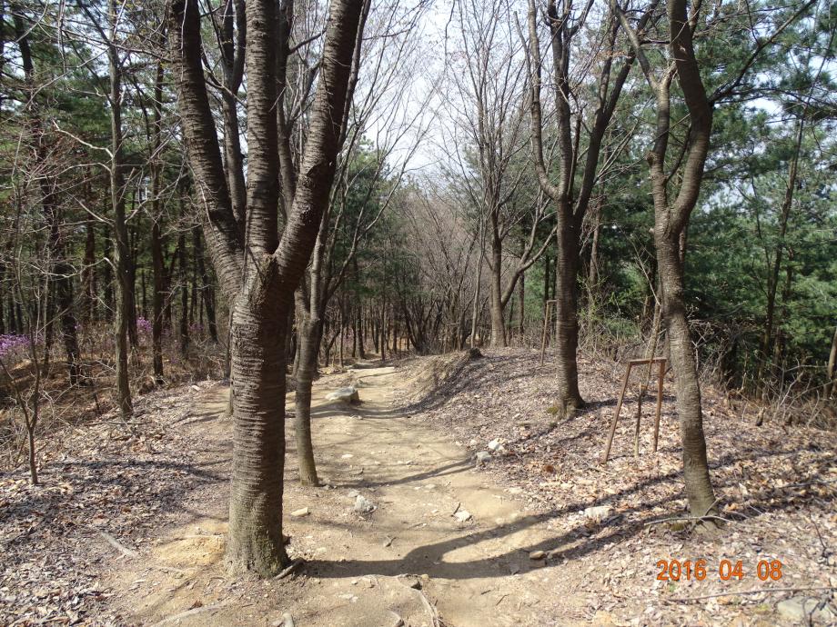 충청북도 문화재돌봄사업