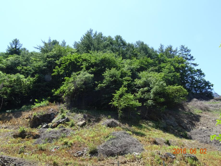 충청북도 문화재돌봄사업
