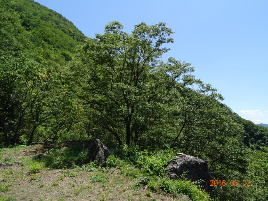 충청북도 문화재돌봄사업