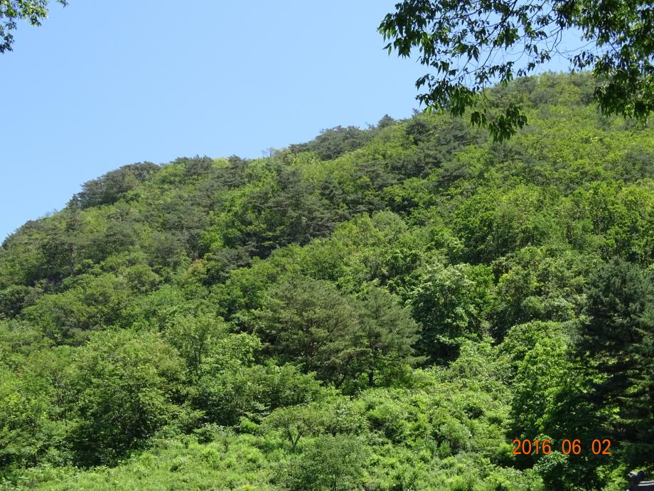 충청북도 문화재돌봄사업