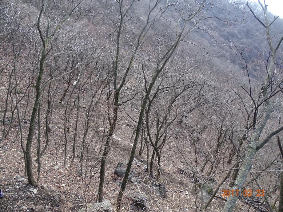 충청북도 문화재돌봄사업