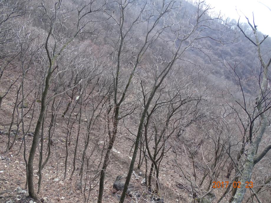 충청북도 문화재돌봄사업