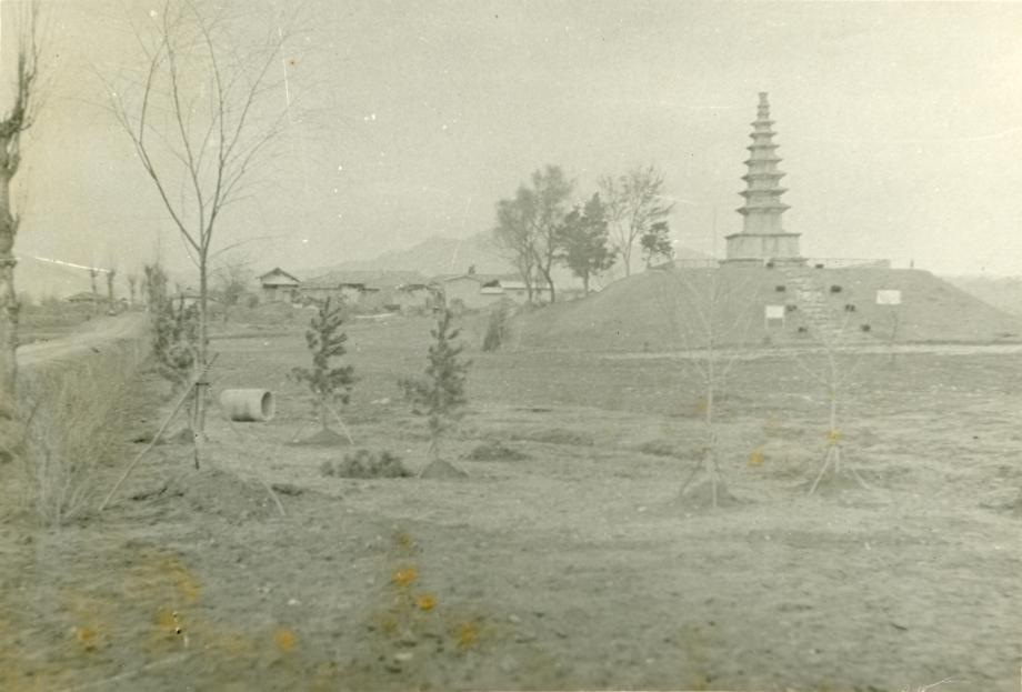 충주 탑평리 칠층석탑이미지