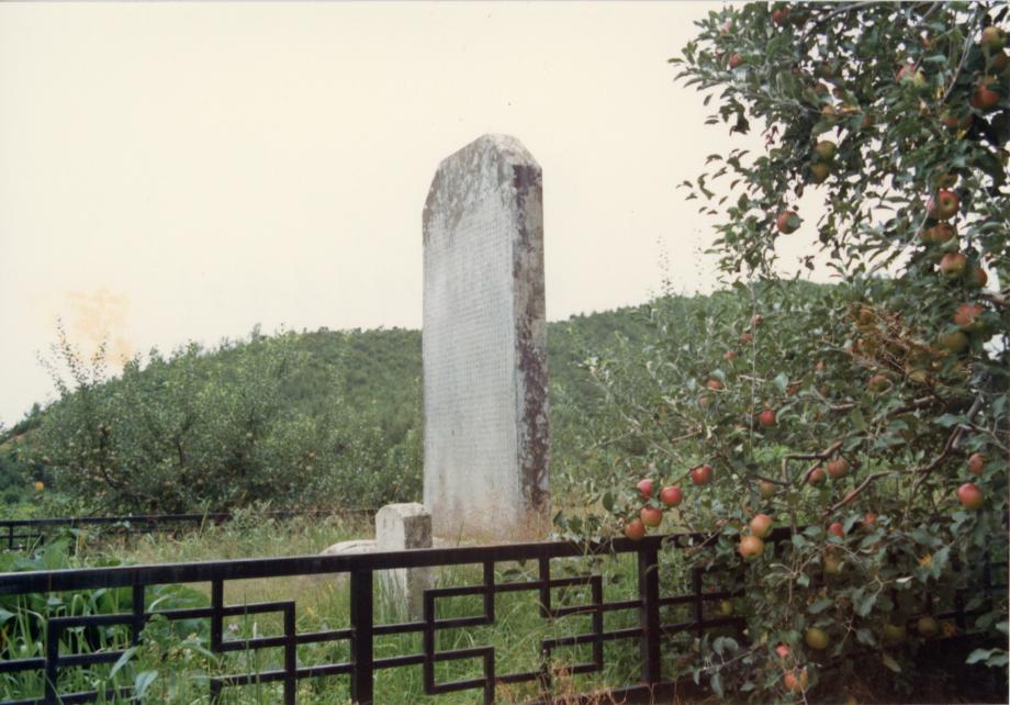 충주 억정사지 대지국사탑비이미지