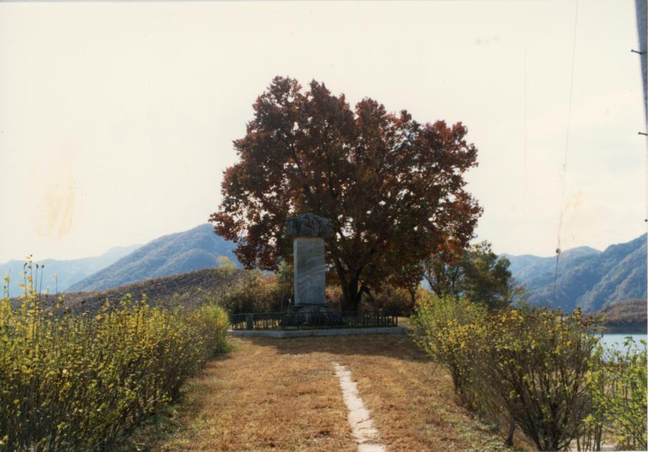충주 정토사지 법경대사탑비이미지