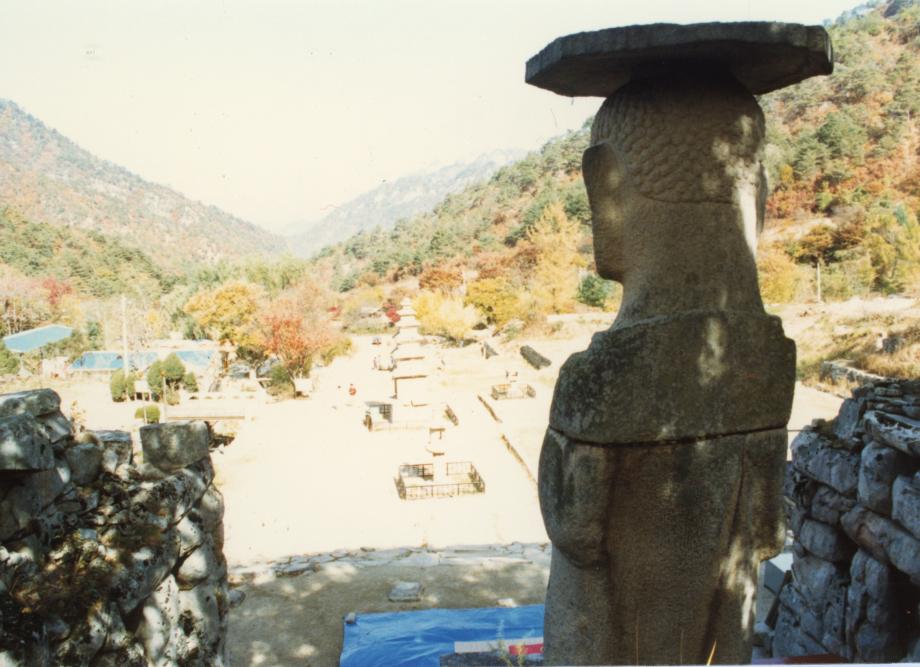 충주 미륵리 석조여래입상이미지