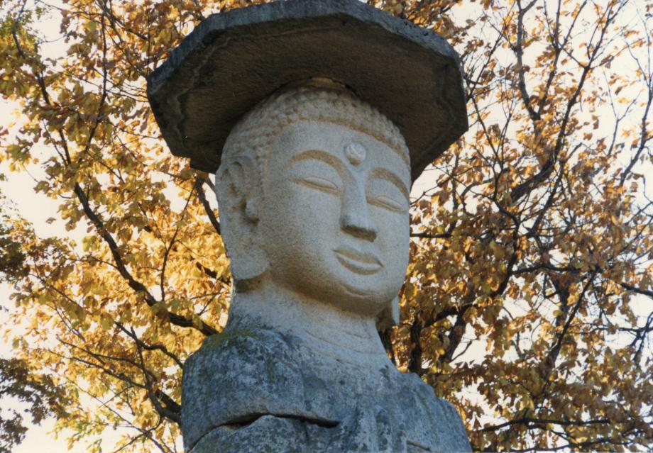 충주 미륵리 석조여래입상이미지