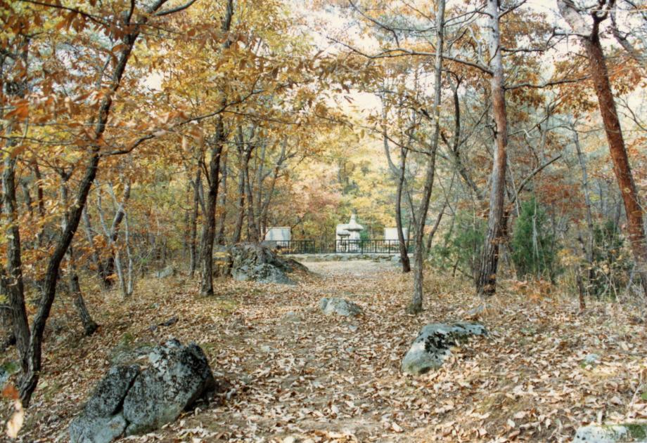 충주 청룡사지 보각국사탑 앞 사자 석등이미지