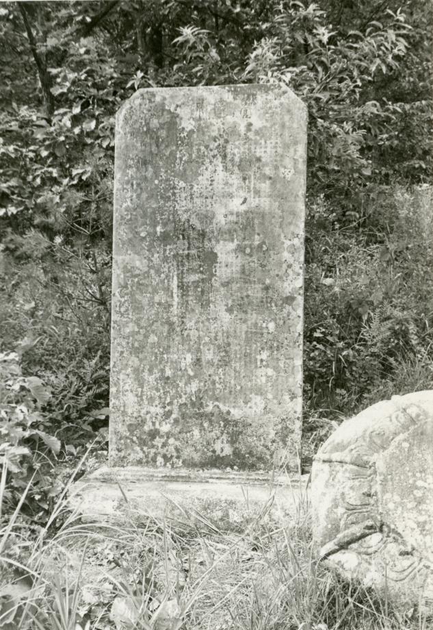충주 청룡사지 보각국사탑비이미지