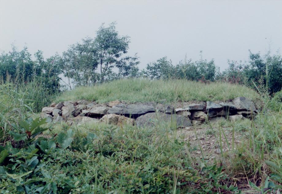 진천 김유신 탄생지와 태실이미지