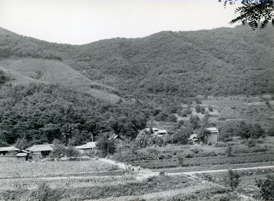 진천 김유신 탄생지와 태실이미지
