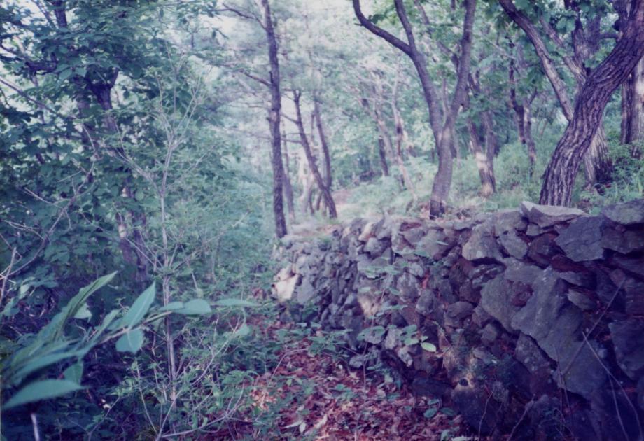 진천 김유신 탄생지와 태실이미지