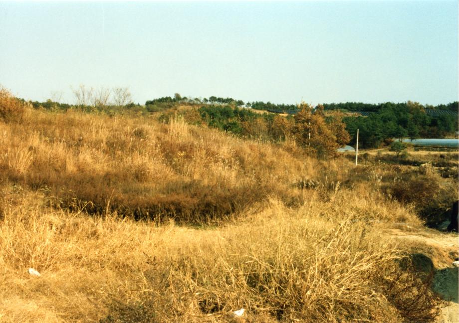 충북 문화재 사진