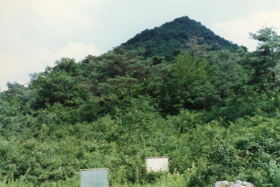충북 문화재 사진