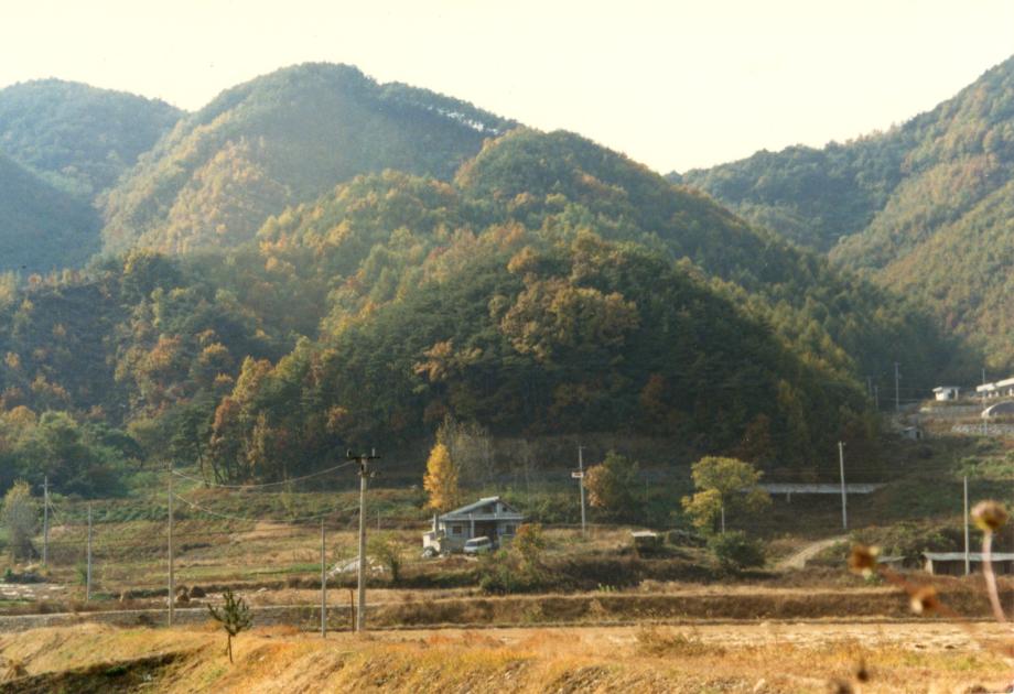 충주 경종 태실이미지
