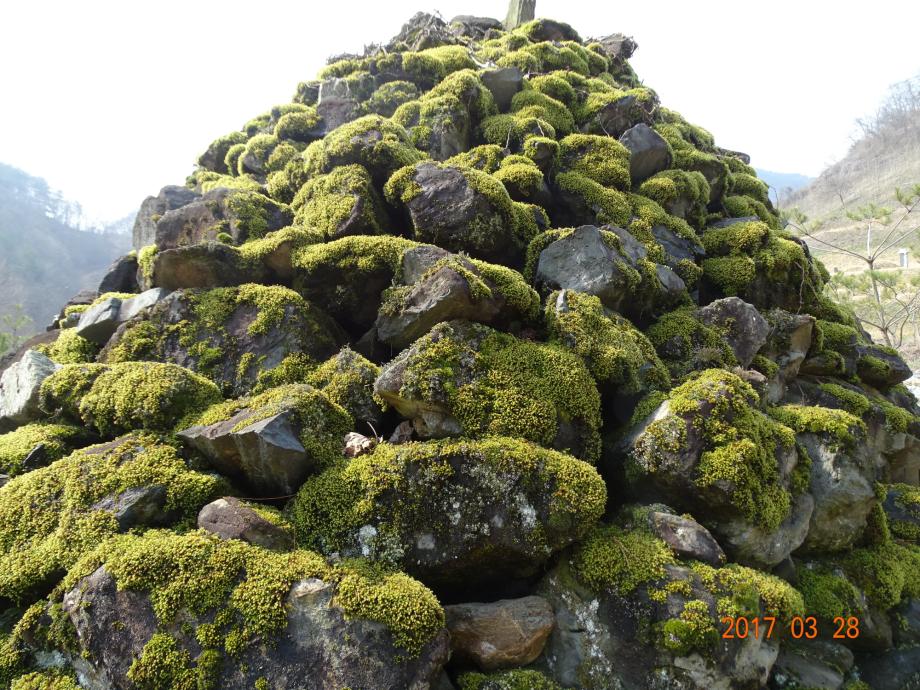 충청북도 문화재돌봄사업