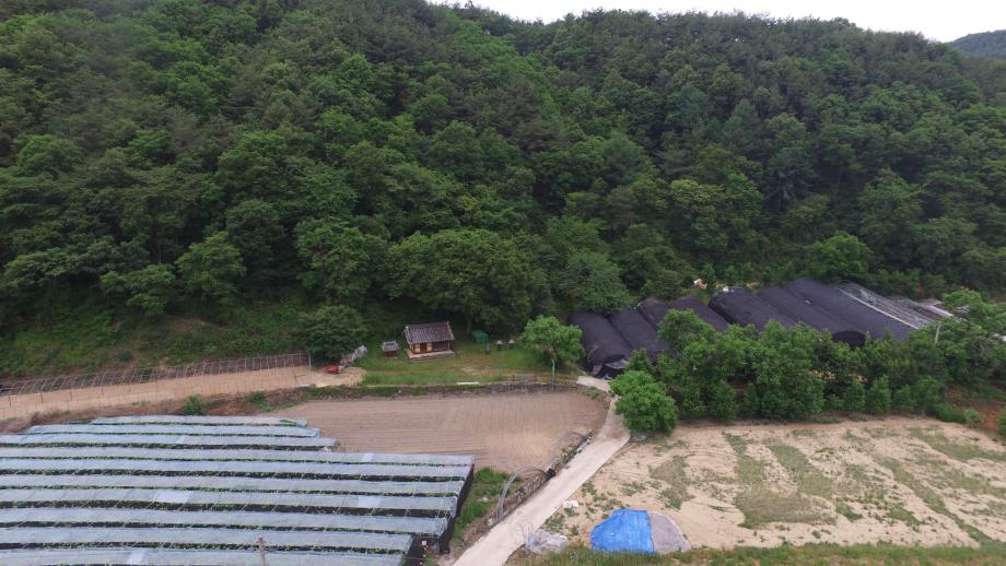 충청북도 문화재돌봄사업