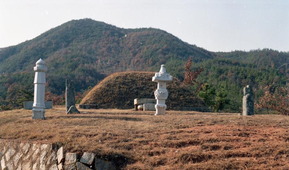 진천 남지 묘소 및 신도비이미지