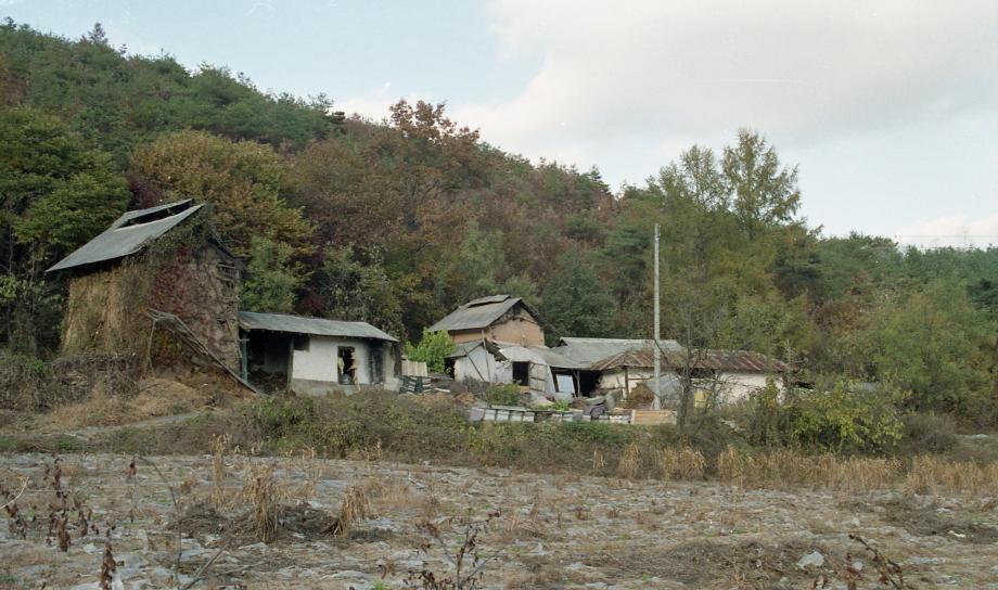 충주 오갑사지 석조여래좌상이미지