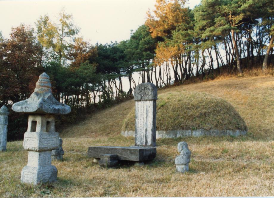 충주 이수일 묘소이미지