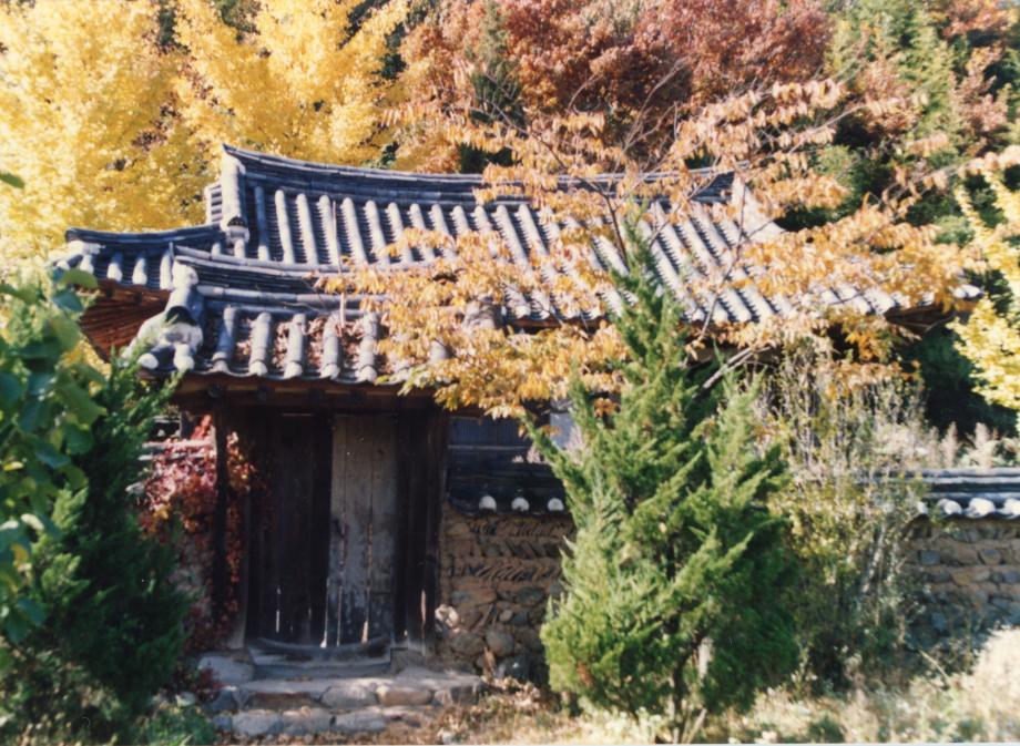영동 삼괴당이미지