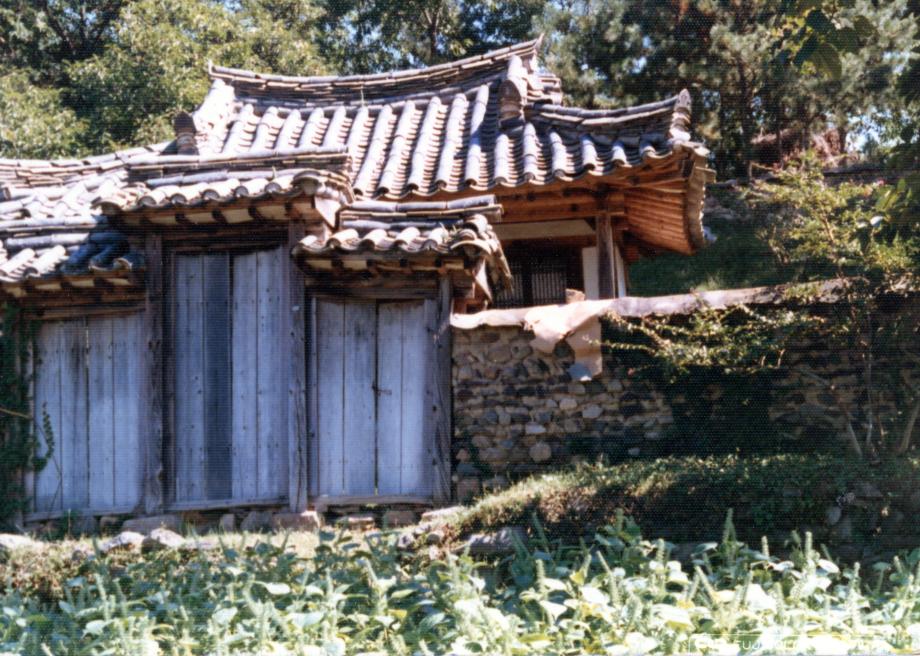 옥천 양신정이미지