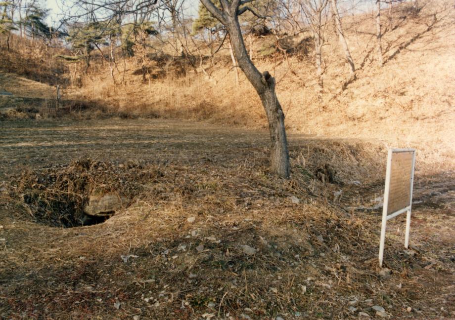 영동 부용리 고분이미지