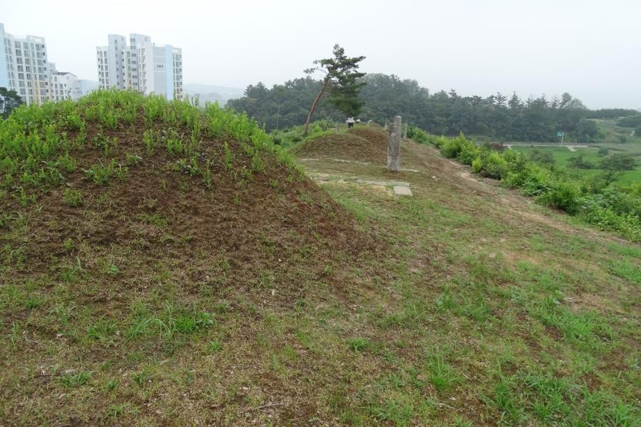 충청북도 문화재돌봄사업