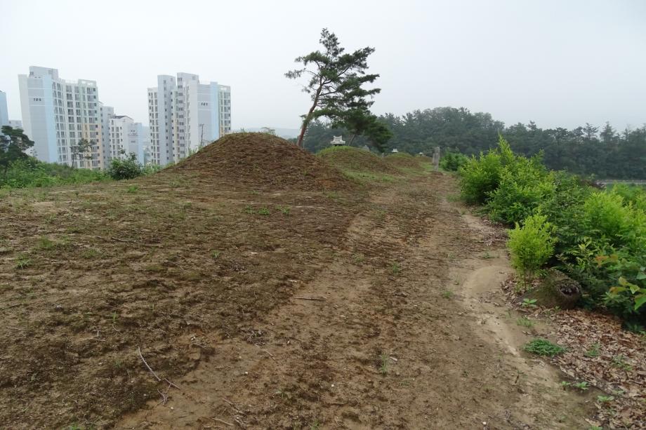 충청북도 문화재돌봄사업