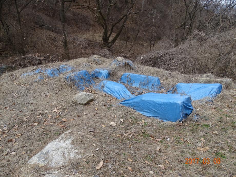 충청북도 문화재돌봄사업