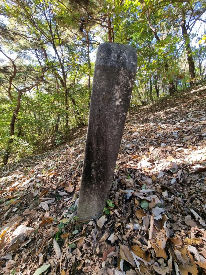 충북 금석문 기초조사