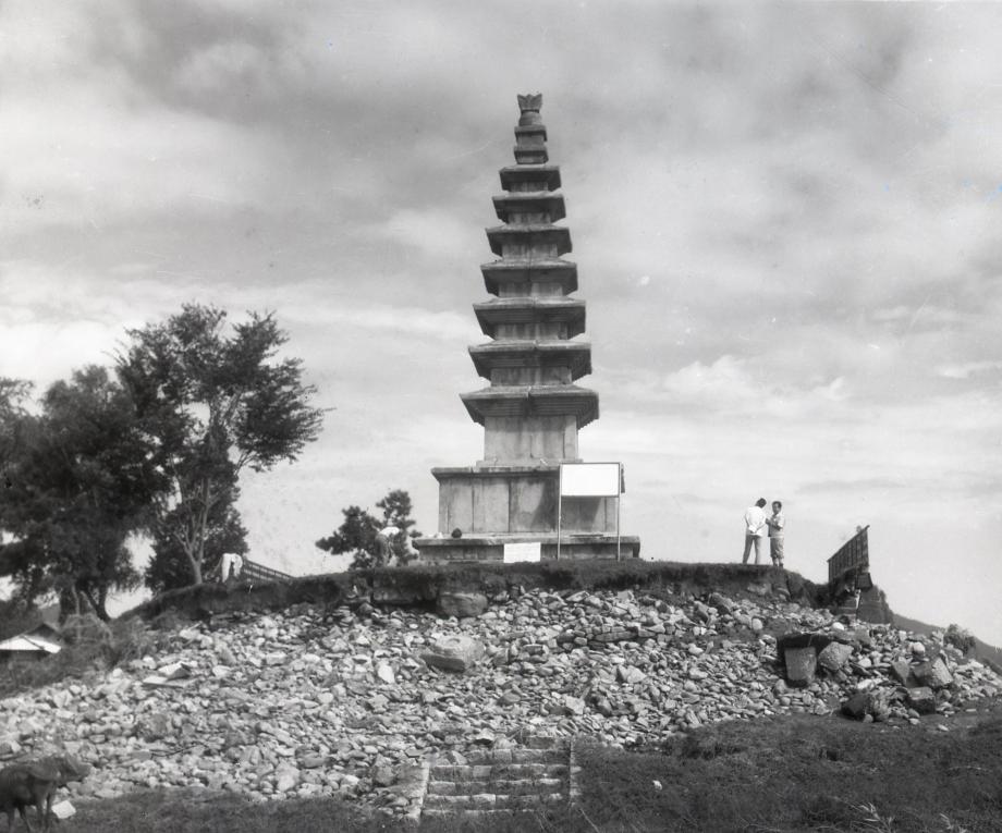 충주 탑평리 칠층석탑이미지