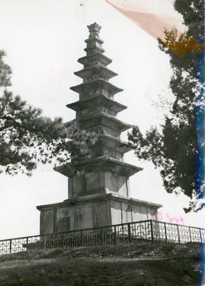충주 탑평리 칠층석탑이미지