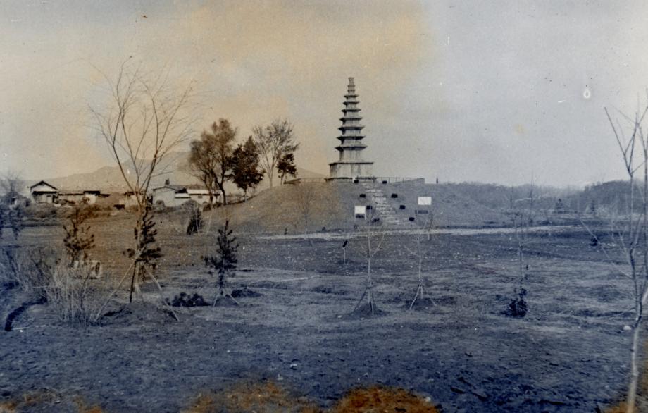 충주 탑평리 칠층석탑이미지