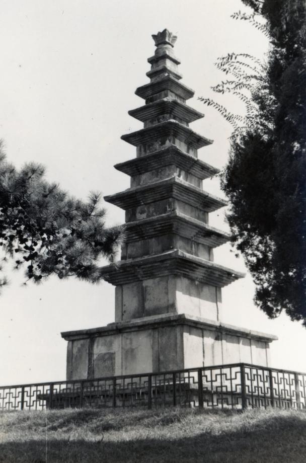 충주 탑평리 칠층석탑이미지