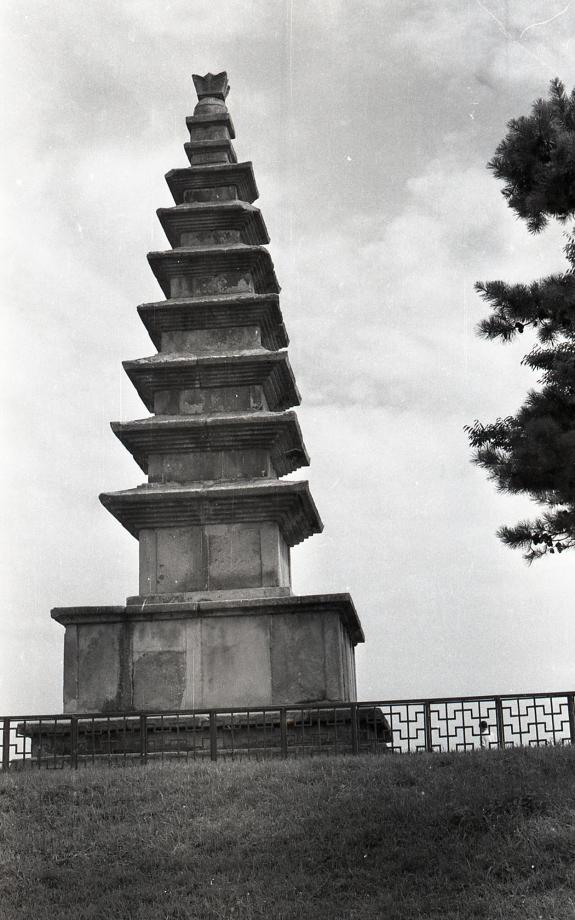 충주 탑평리 칠층석탑이미지