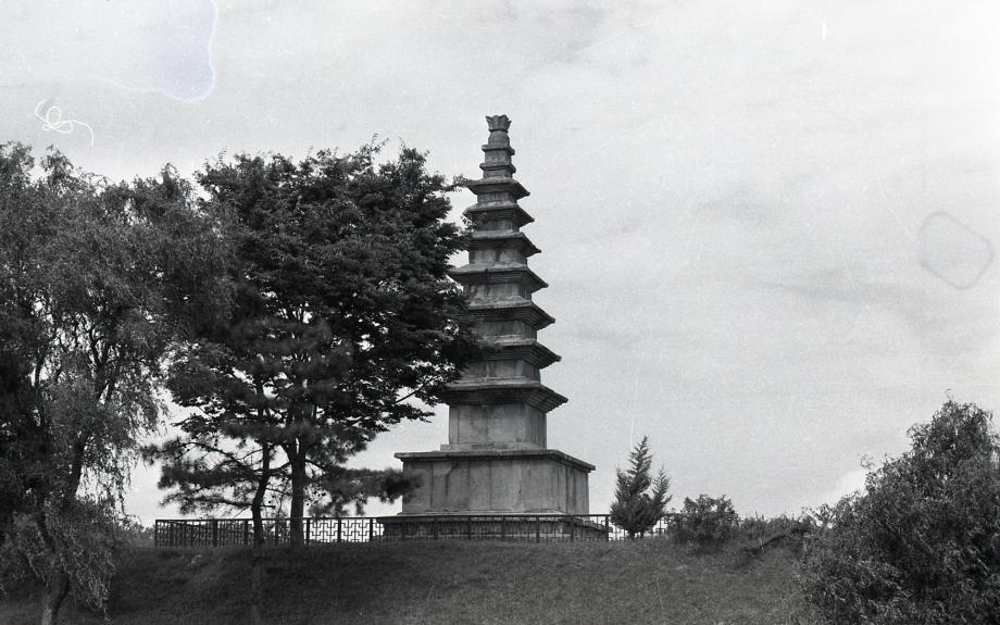 충주 탑평리 칠층석탑이미지