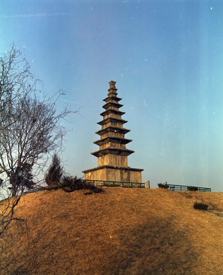 충주 탑평리 칠층석탑이미지