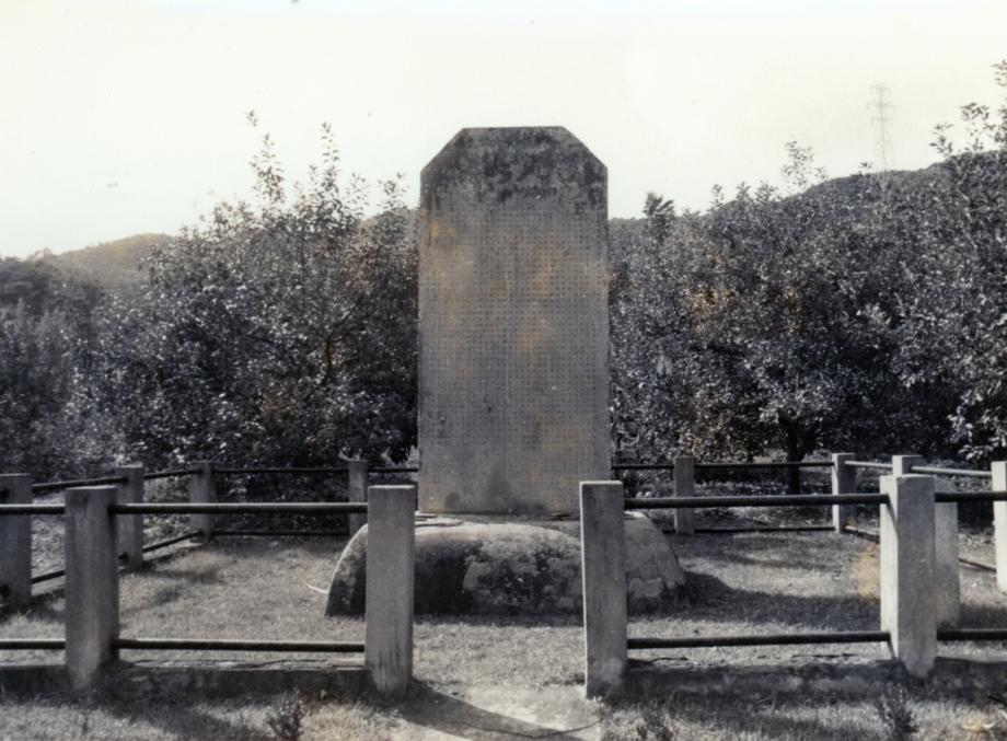 충주 억정사지 대지국사탑비이미지