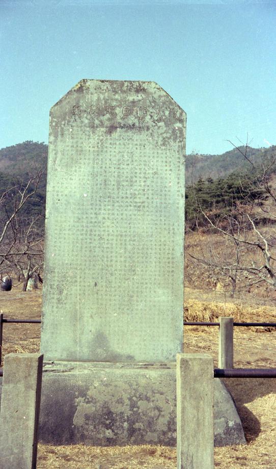 충주 억정사지 대지국사탑비이미지