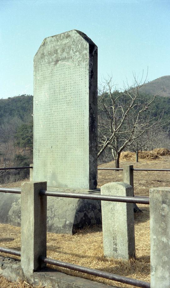 충주 억정사지 대지국사탑비이미지