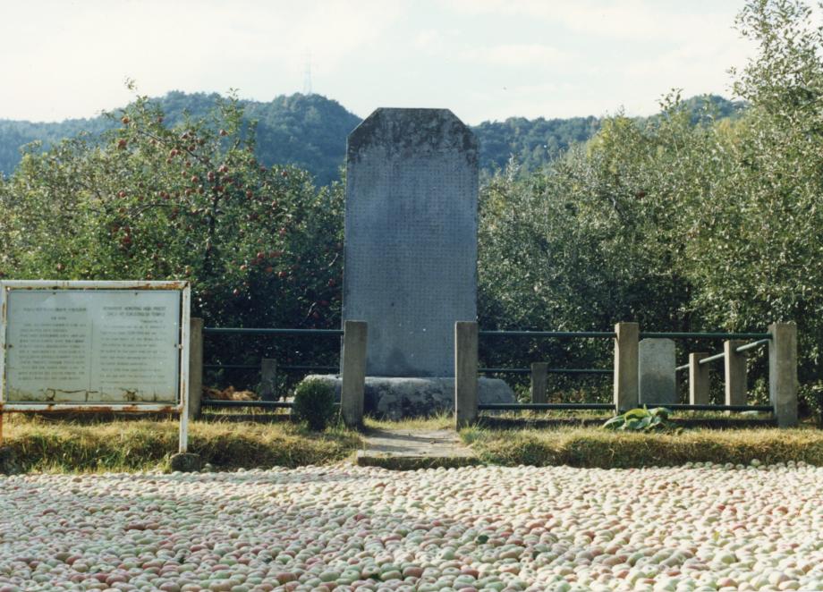충주 억정사지 대지국사탑비이미지