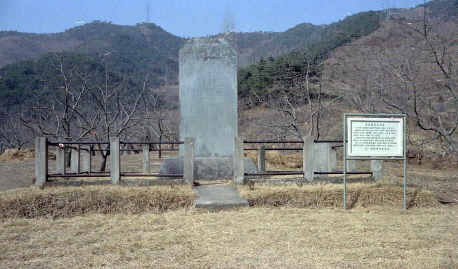 충주 억정사지 대지국사탑비이미지