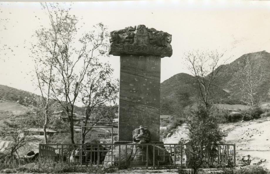 충주 정토사지 법경대사탑비이미지