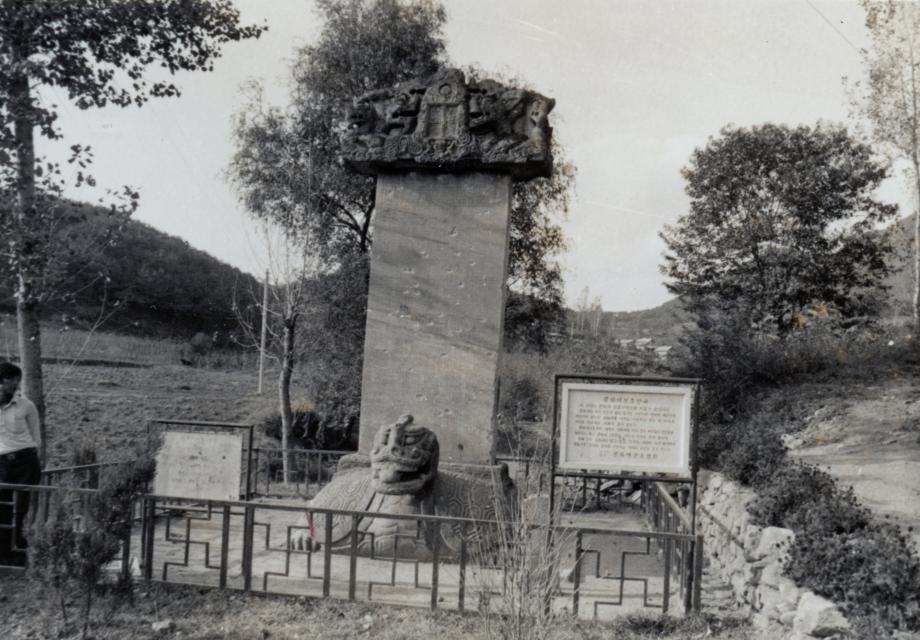 충주 정토사지 법경대사탑비이미지