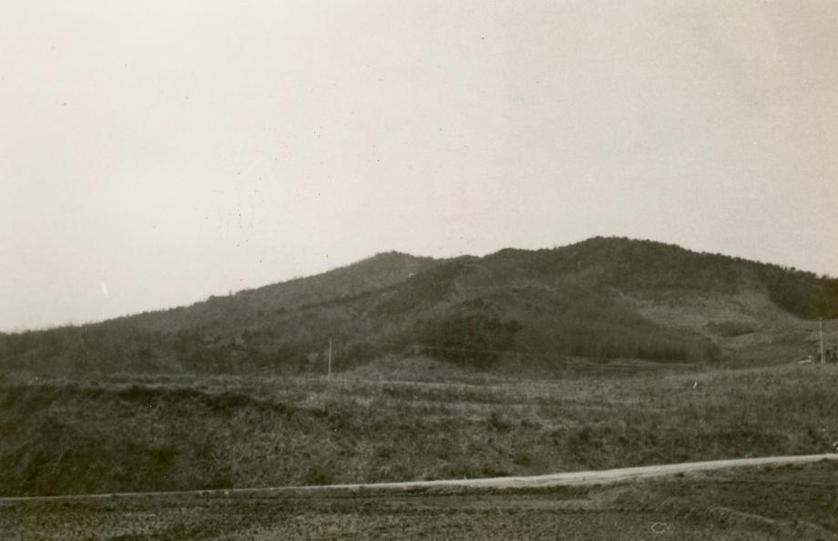 충주 장미산성이미지
